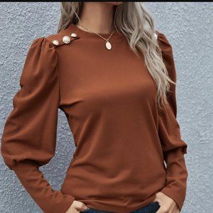 Brown Lantern Sleeve Blouse